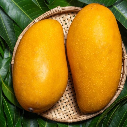 Mallika Mango